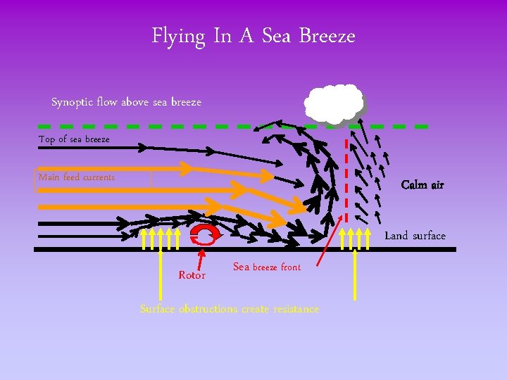 Flying In A Sea Breeze Synoptic flow above sea breeze Top of sea breeze