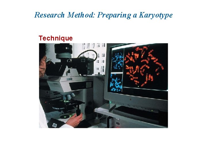 Research Method: Preparing a Karyotype Technique 