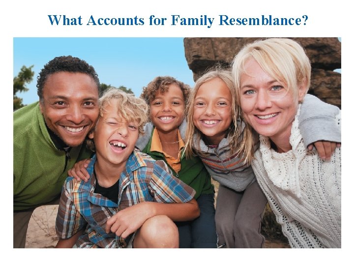 What Accounts for Family Resemblance? 