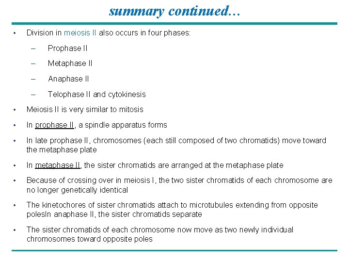 summary continued… • Division in meiosis II also occurs in four phases: – Prophase