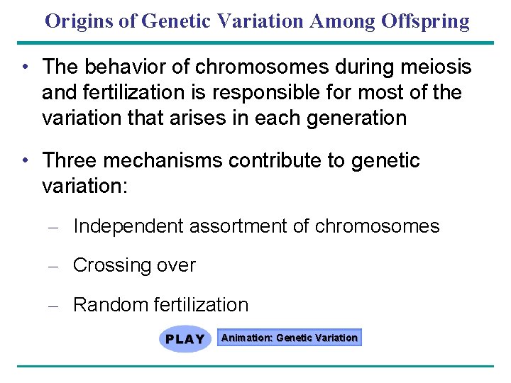 Origins of Genetic Variation Among Offspring • The behavior of chromosomes during meiosis and