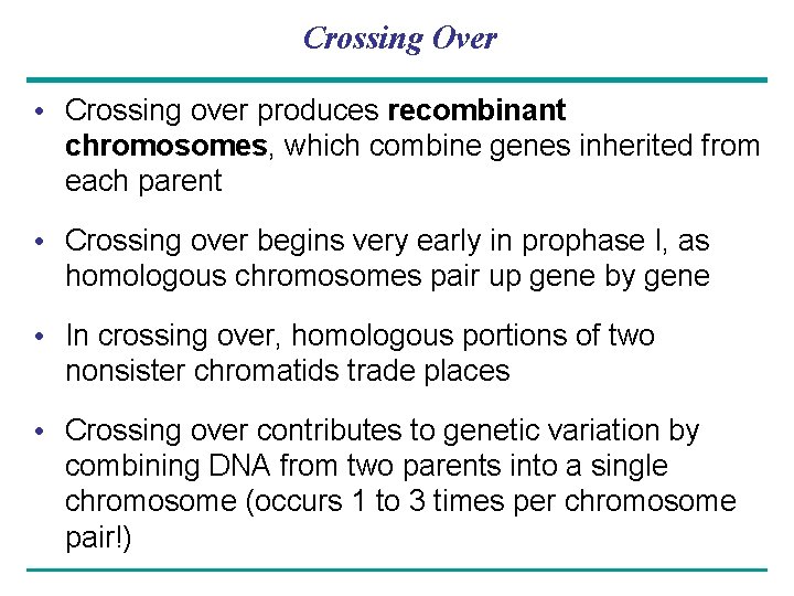 Crossing Over • Crossing over produces recombinant chromosomes, which combine genes inherited from each