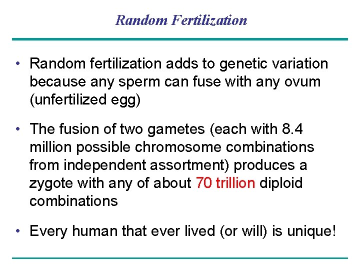 Random Fertilization • Random fertilization adds to genetic variation because any sperm can fuse