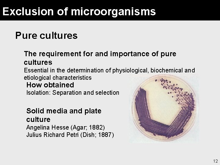 Exclusion of microorganisms Pure cultures The requirement for and importance of pure cultures Essential