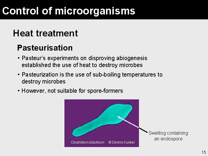 Control of microorganisms Heat treatment Pasteurisation • Pasteur’s experiments on disproving abiogenesis established the