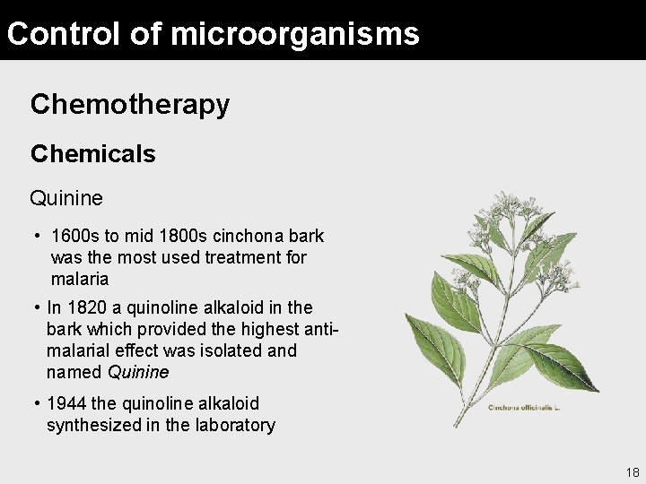 Control of microorganisms Chemotherapy Chemicals Quinine • 1600 s to mid 1800 s cinchona