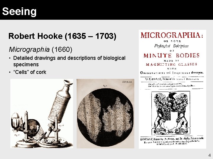 Seeing Robert Hooke (1635 – 1703) Micrographia (1660) • Detailed drawings and descriptions of