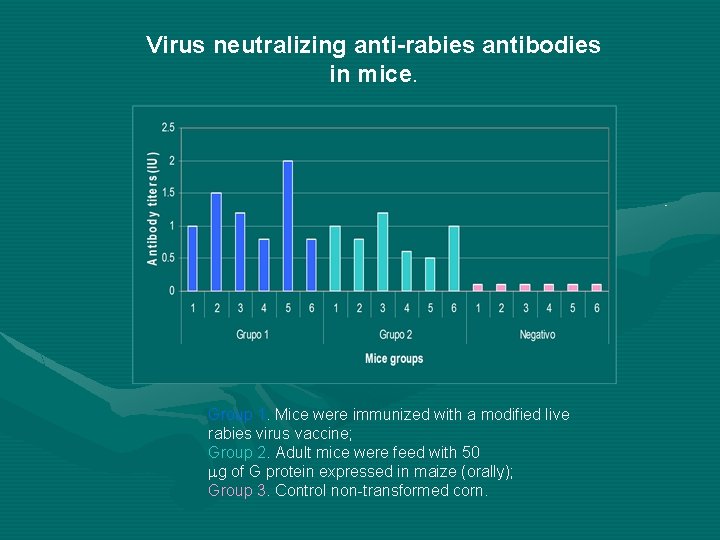 Virus neutralizing anti-rabies antibodies in mice. Group 1. Mice were immunized with a modified