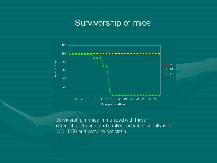 Survivorship of mice Survivorship in mice immunized with three different treatments and challenged intracraneally