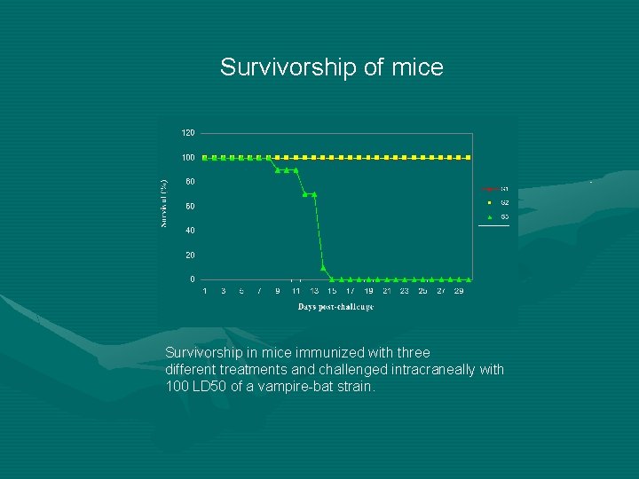 Survivorship of mice Survivorship in mice immunized with three different treatments and challenged intracraneally Survivorship of mice Survivorship in mice immunized with three different treatments and challenged intracraneally