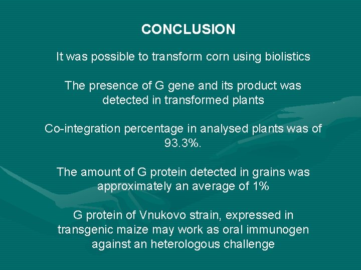 CONCLUSION It was possible to transform corn using biolistics The presence of G gene