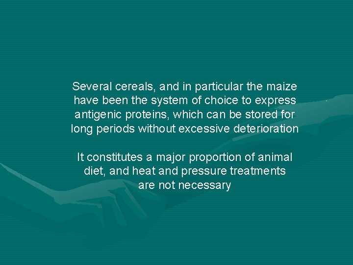 Several cereals, and in particular the maize have been the system of choice to