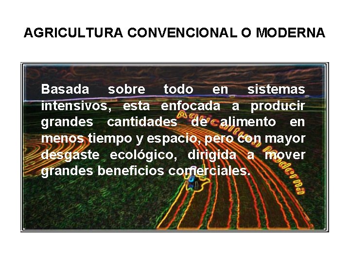 AGRICULTURA CONVENCIONAL O MODERNA Basada sobre todo en sistemas intensivos, esta enfocada a producir