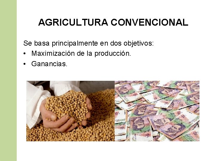 AGRICULTURA CONVENCIONAL Se basa principalmente en dos objetivos: • Maximización de la producción. •
