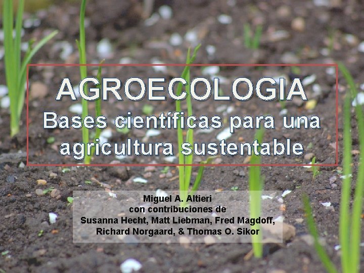 AGROECOLOGIA Bases científicas para una agricultura sustentable Miguel A. Altieri contribuciones de Susanna Hecht,