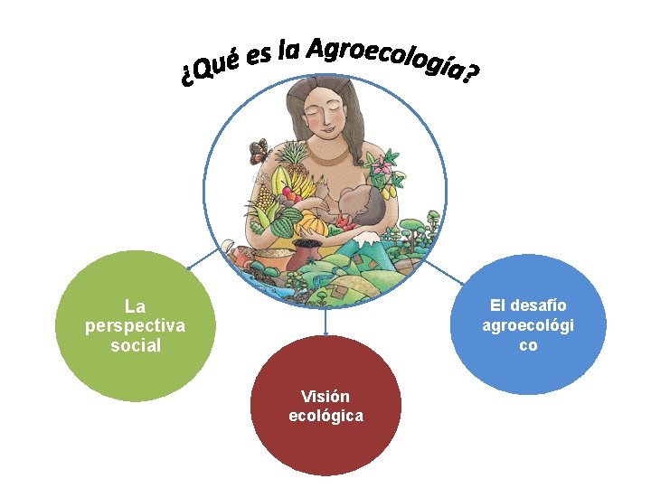 La perspectiva social El desafío agroecológi co Visión ecológica 