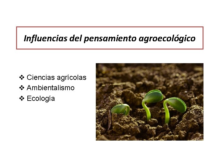 Influencias del pensamiento agroecológico v Ciencias agrícolas v Ambientalismo v Ecología 