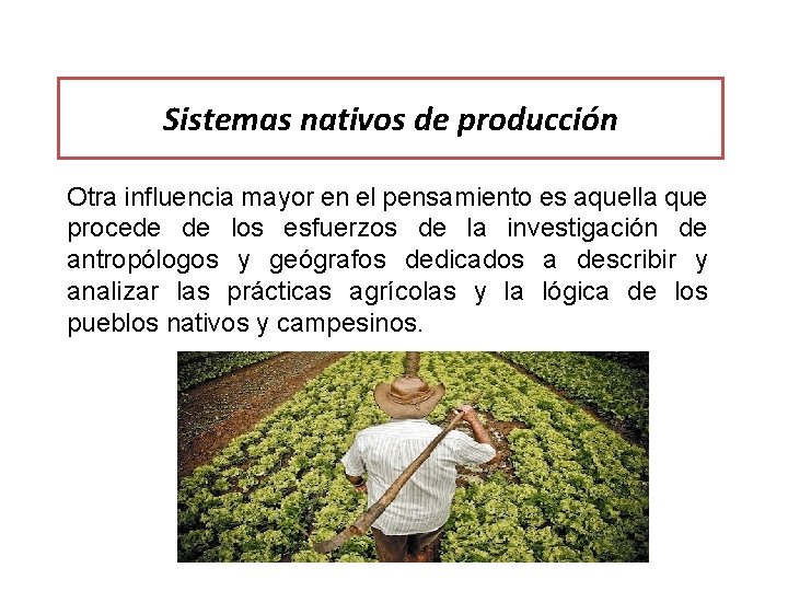 Sistemas nativos de producción Otra influencia mayor en el pensamiento es aquella que procede