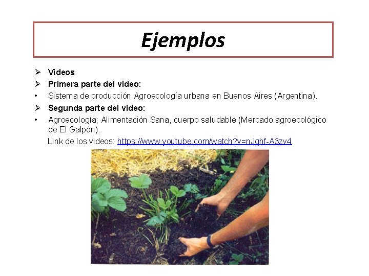 Ejemplos Ø Ø • Videos Primera parte del video: Sistema de producción Agroecología urbana