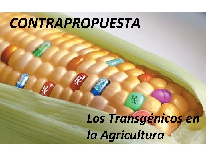 CONTRAPROPUESTA Los Transgénicos en la Agricultura 