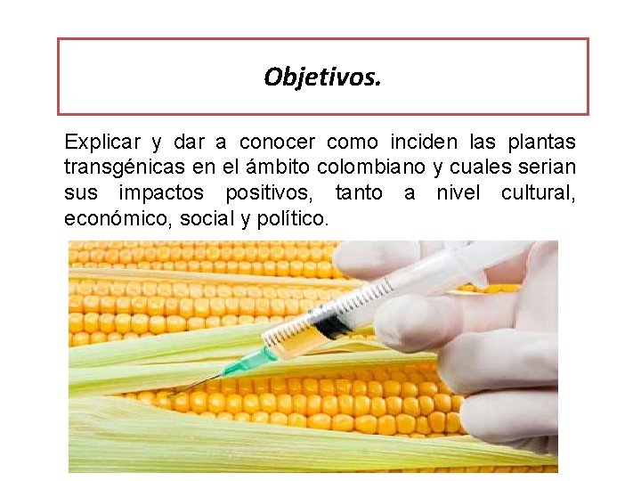 Objetivos. Explicar y dar a conocer como inciden las plantas transgénicas en el ámbito