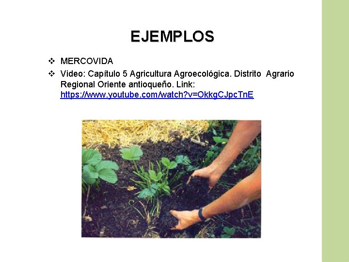 EJEMPLOS v MERCOVIDA v Video: Capítulo 5 Agricultura Agroecológica. Distrito Agrario Regional Oriente antioqueño.