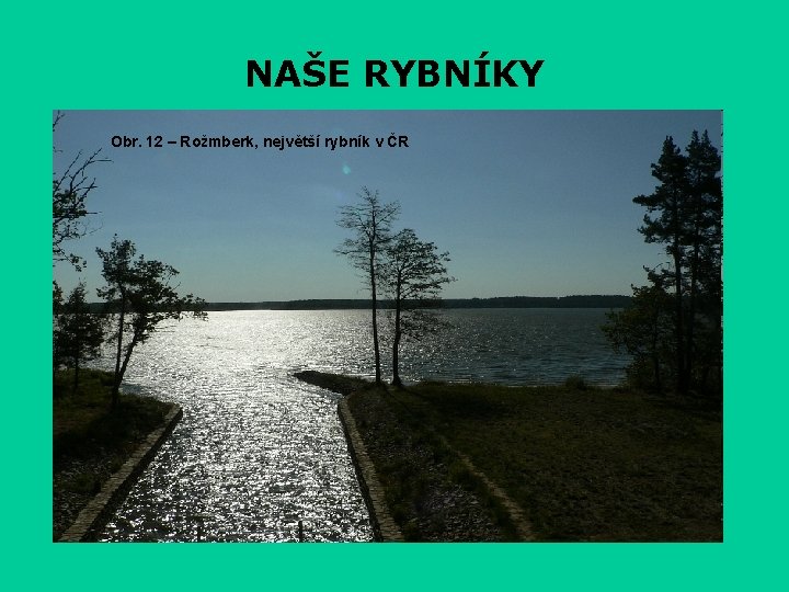 NAŠE RYBNÍKY Obr. 12 – Rožmberk, největší rybník v ČR 