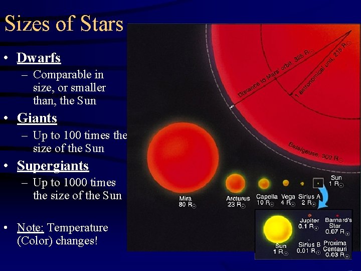 Sizes of Stars • Dwarfs – Comparable in size, or smaller than, the Sun