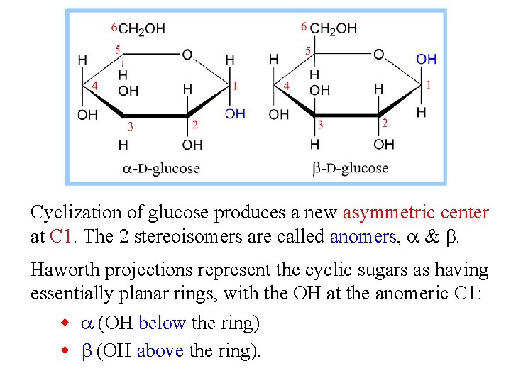 Cyclization of glucose produces a new asymmetric center at C 1. The 2 stereoisomers