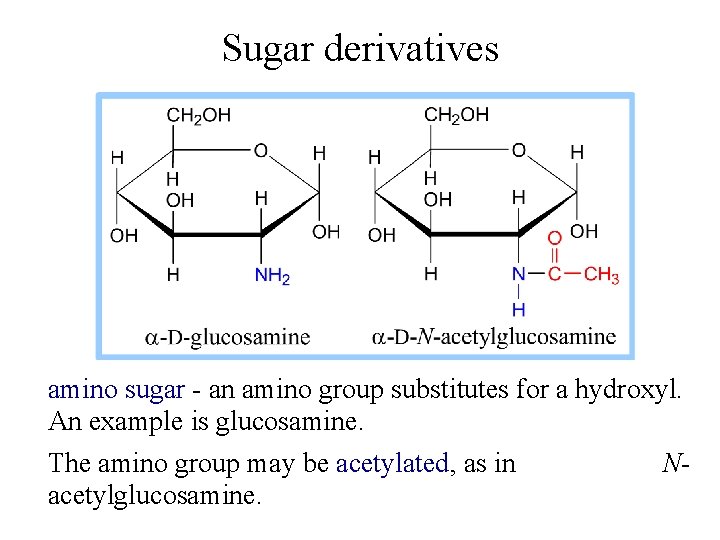 Sugar derivatives amino sugar - an amino group substitutes for a hydroxyl. An example