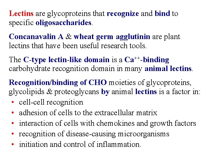 Lectins are glycoproteins that recognize and bind to specific oligosaccharides. Concanavalin A & wheat