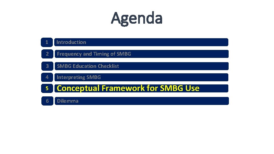 Agenda 1 Introduction 2 Frequency and Timing of SMBG 3 SMBG Education Checklist 4