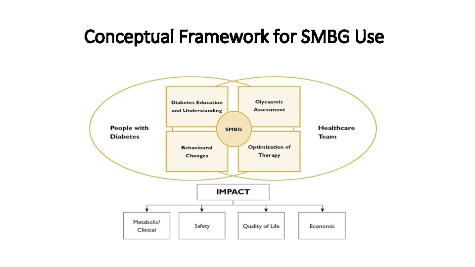 Conceptual Framework for SMBG Use 