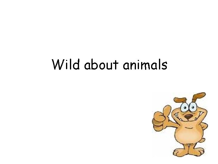 Wild about animals 