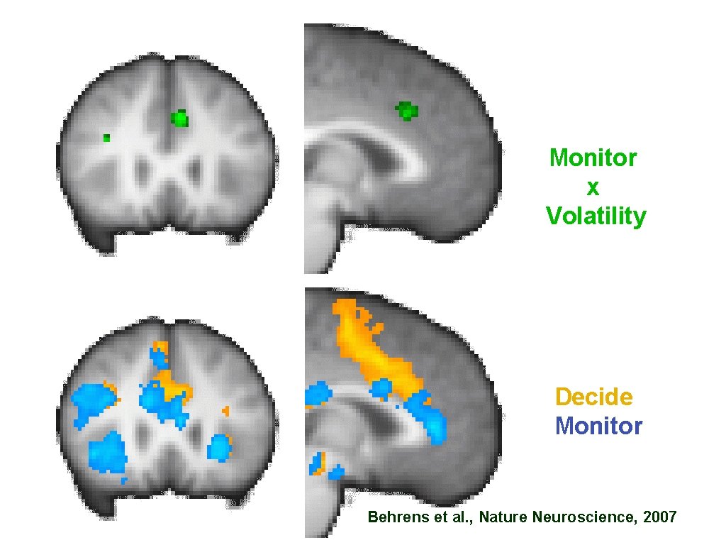 Monitor x Volatility Decide Monitor Behrens et al. , Nature Neuroscience, 2007 