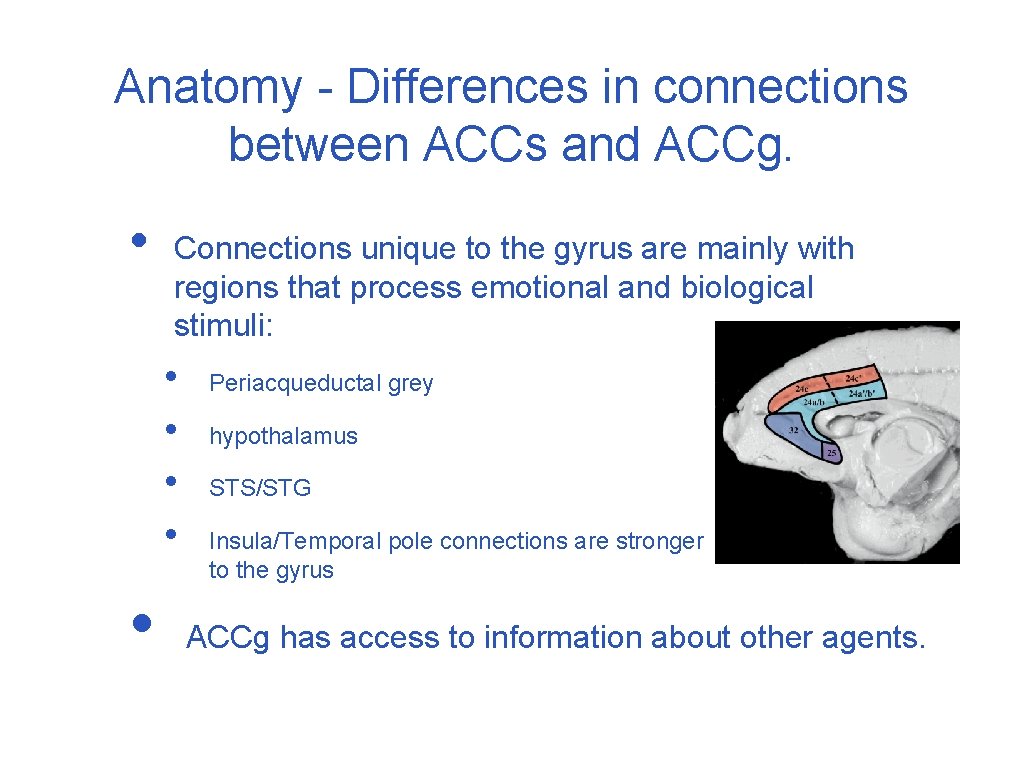 Anatomy - Differences in connections between ACCs and ACCg. • Connections unique to the