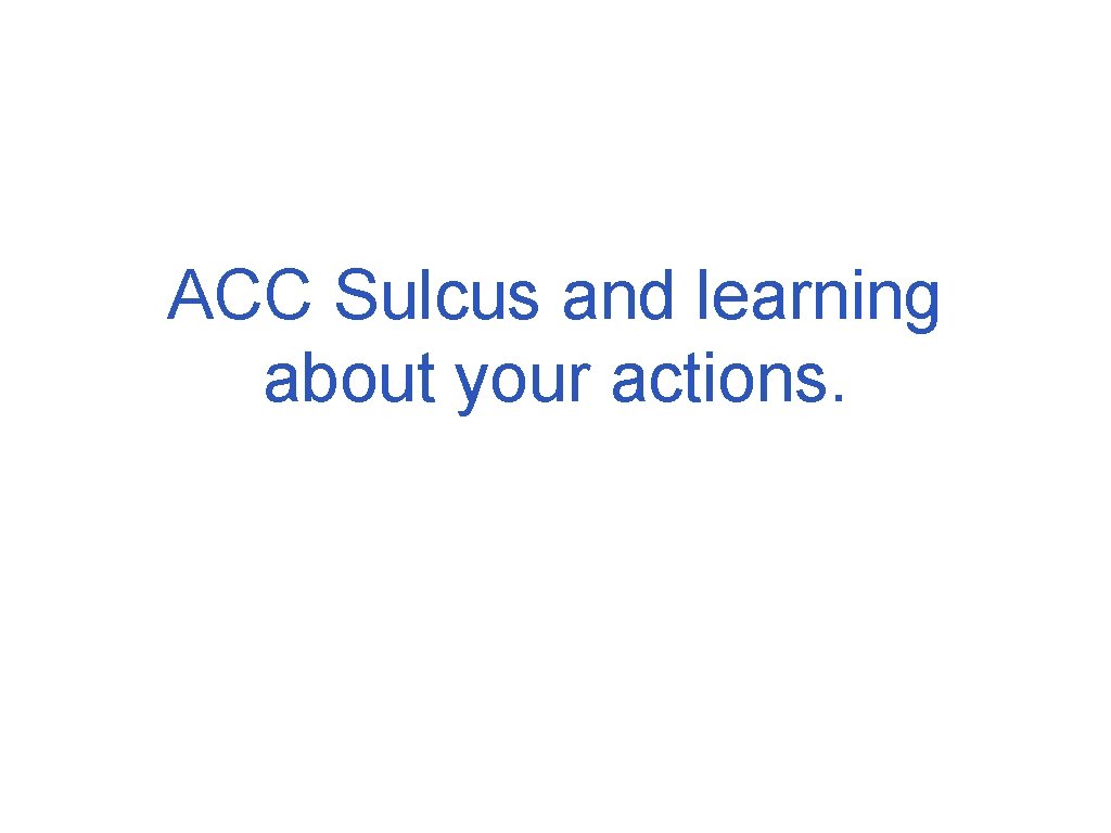 ACC Sulcus and learning about your actions. 