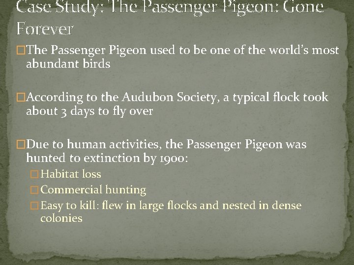 Case Study: The Passenger Pigeon: Gone Forever �The Passenger Pigeon used to be one