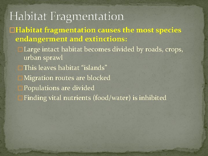 Habitat Fragmentation �Habitat fragmentation causes the most species endangerment and extinctions: � Large intact