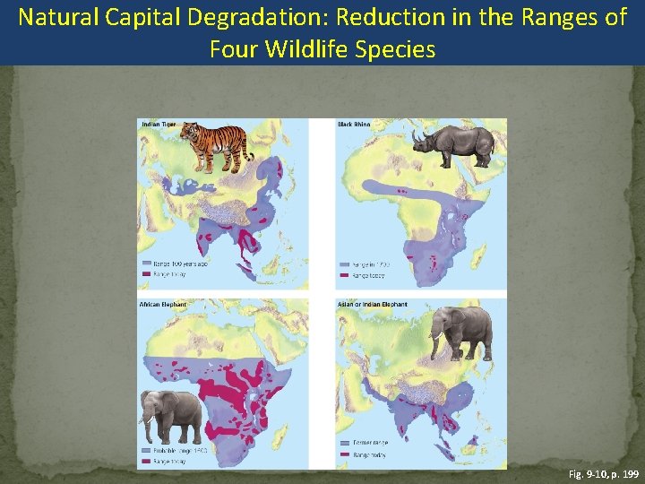 Natural Capital Degradation: Reduction in the Ranges of Four Wildlife Species Fig. 9 -10,