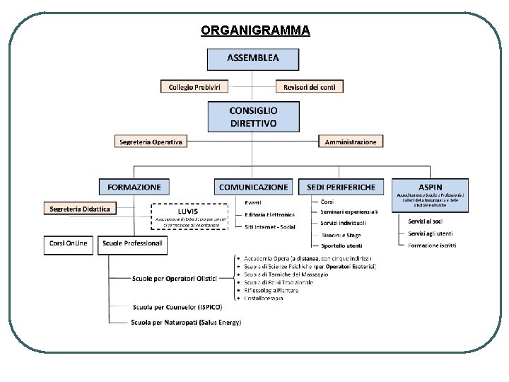 ORGANIGRAMMA Obiettivi, Valori, Attività e Organizzazione di Erba Sacra 