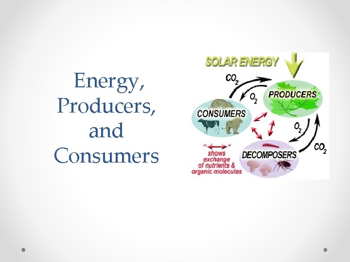 Energy, Producers, and Consumers 