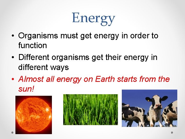 Energy • Organisms must get energy in order to function • Different organisms get