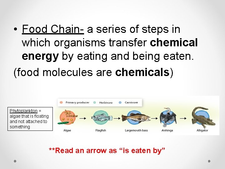  • Food Chain- a series of steps in which organisms transfer chemical energy