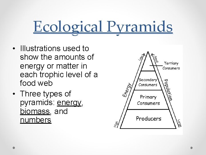 Ecological Pyramids • Illustrations used to show the amounts of energy or matter in