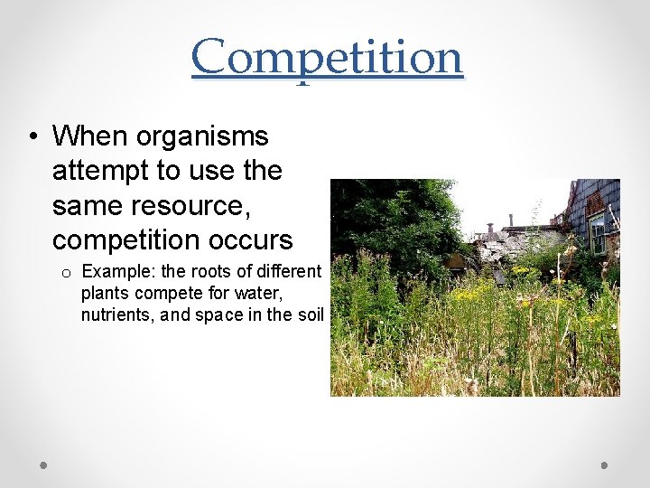 Competition • When organisms attempt to use the same resource, competition occurs o Example: