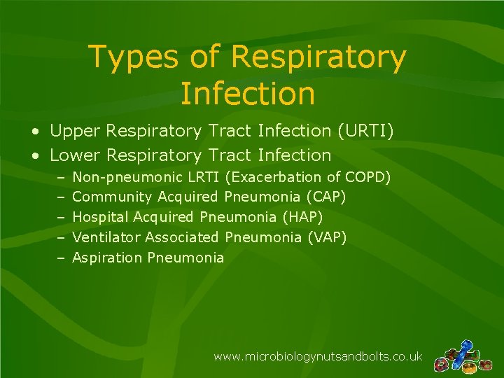 Types of Respiratory Infection • Upper Respiratory Tract Infection (URTI) • Lower Respiratory Tract