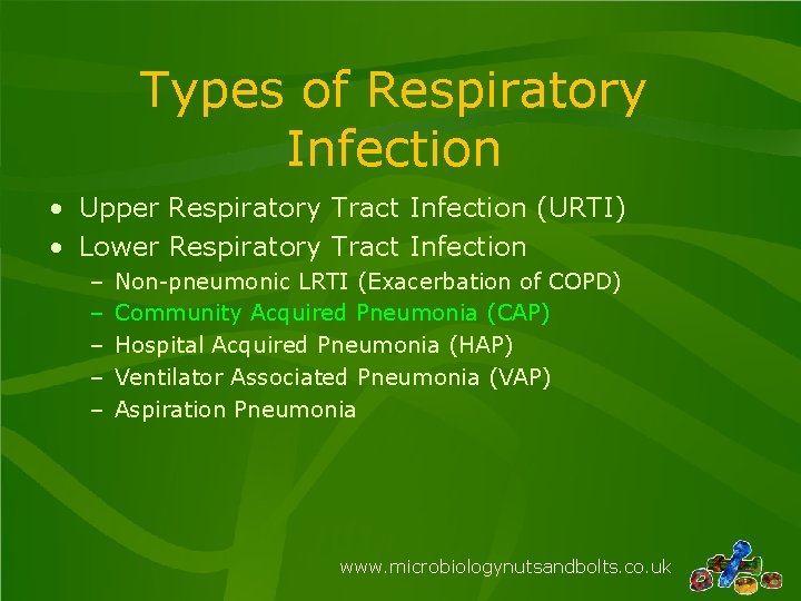 Types of Respiratory Infection • Upper Respiratory Tract Infection (URTI) • Lower Respiratory Tract