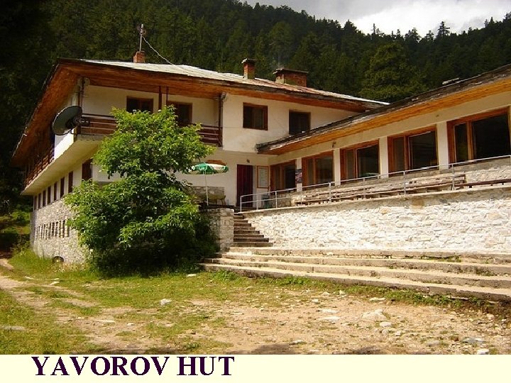 YAVOROV HUT 