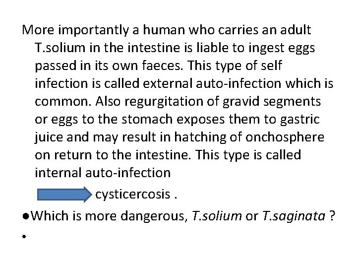 More importantly a human who carries an adult T. solium in the intestine is